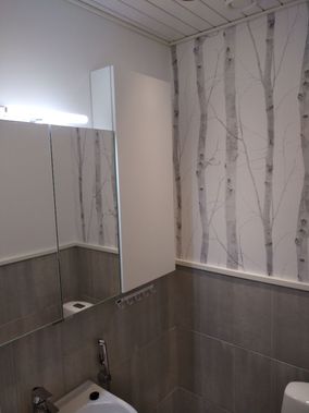 Kylpyhuoneen seinään on maalattu harmaita koivuja.